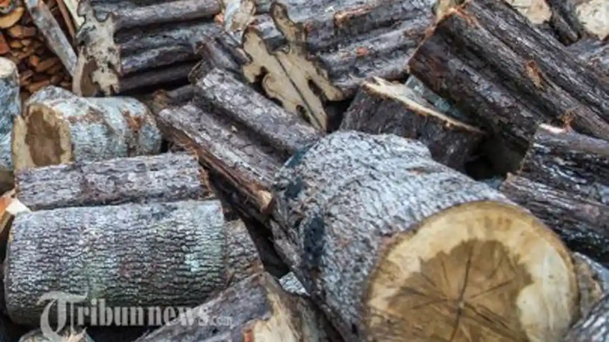 Duh, Jutaan Warga Negara Jerman Mulai Pakai Pemanas Dengan Kayu Bakar