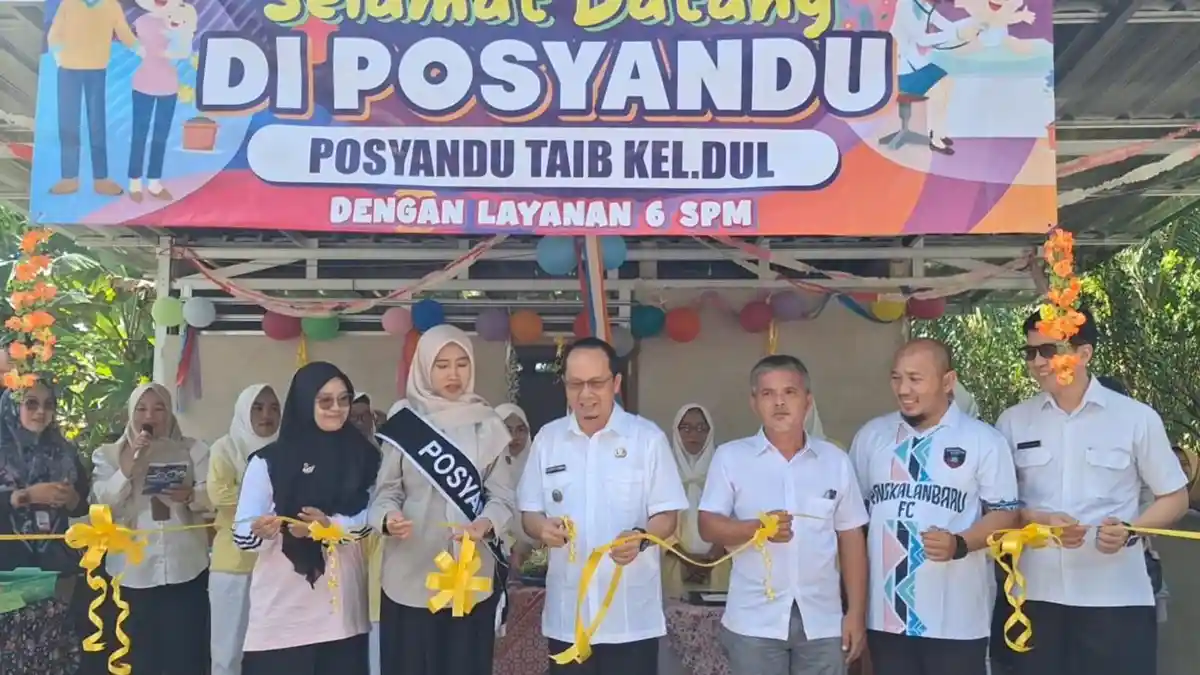 Posyandu Taib Kelurahan Dul Miliki 6 SPM