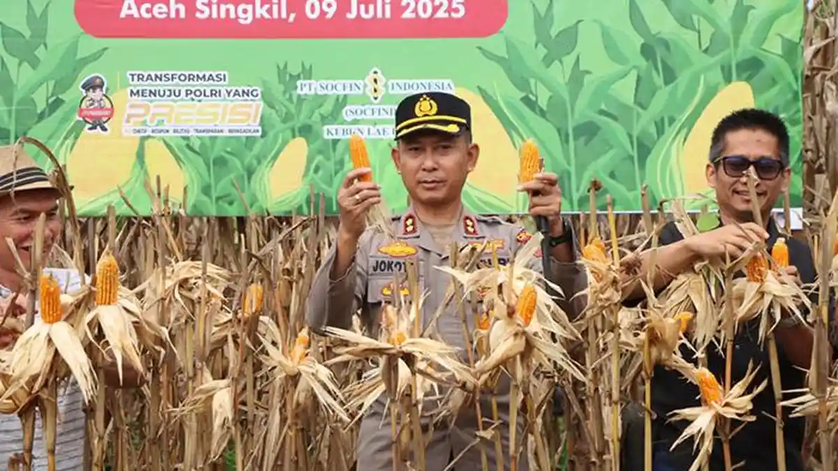 Panen Jagung, Kapolres Aceh Singkil: Kolaborasi Perusahaan Kelapa Sawit dan Poktan Ditingkatkan 