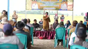 Syaharuddin-Alrif-mengikuti-kegiatan-panen-raya-di-Desa-Lise.jpg
