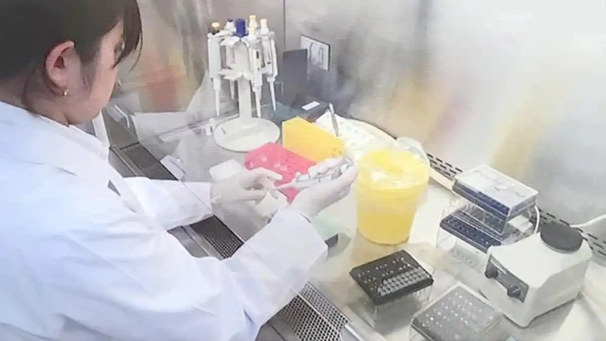 Mengapa Pasien Corona di Jepang Sedikit, Tes PCR Juga Masih Dilakukan Terbatas?