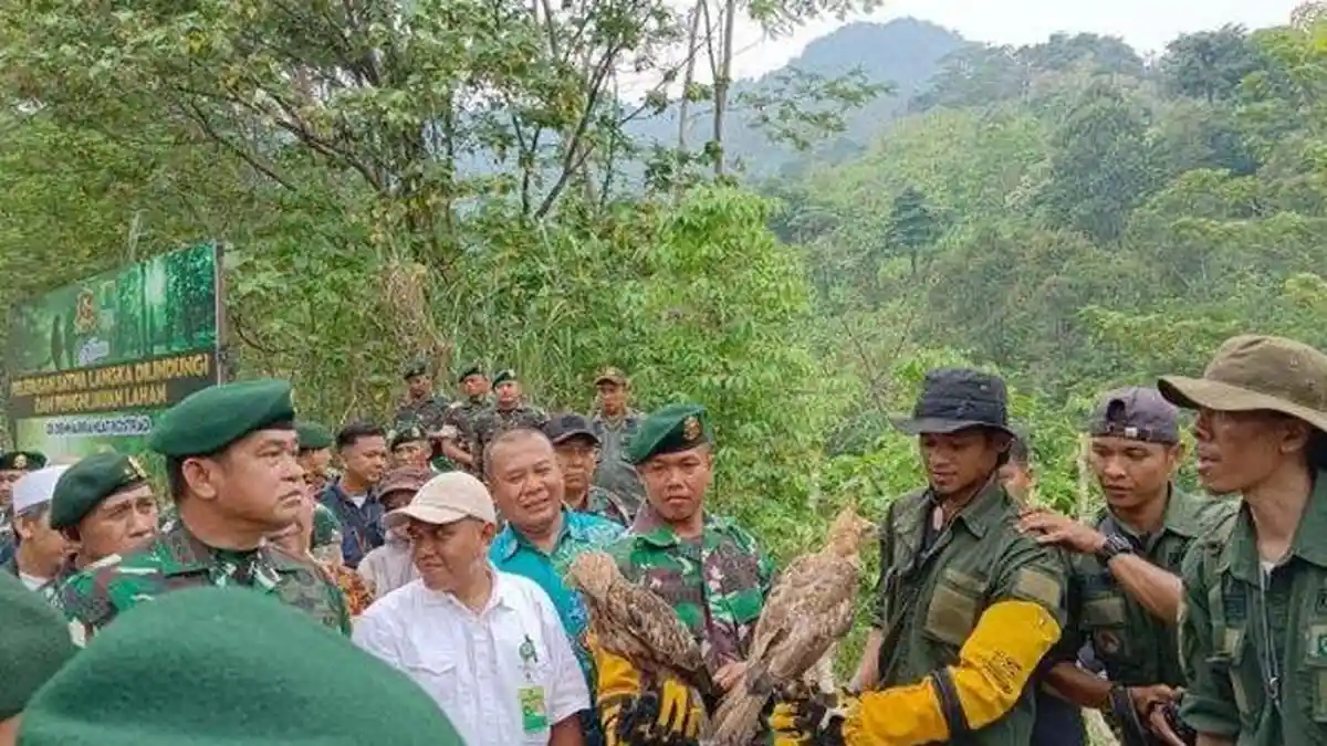 KASAD Lepasliarkan Burung Garuda di Pegunungan Sanggabuana Karawang