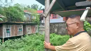 WARGA-Anis-Hunowu-73-menunjukkan-pekarangan-belakang-rumahnya-di-Lingkungan-I.jpg
