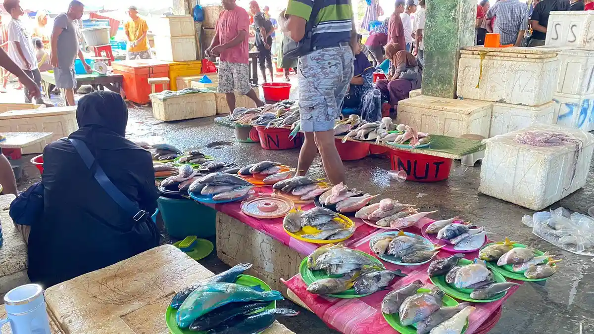 Stok Kurang, Harga Ikan Batu-Batu di Pasar Mardika Ambon Melonjak Naik, Ini Daftarnya