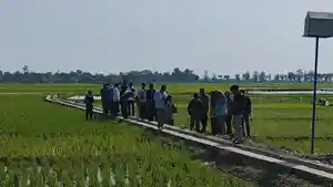 20250726-sawah-kendal-kena-rob.jpg