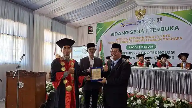 Tribun