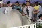 Presiden SBY dan Wapres Boediono Serahkan Hewan Kurban