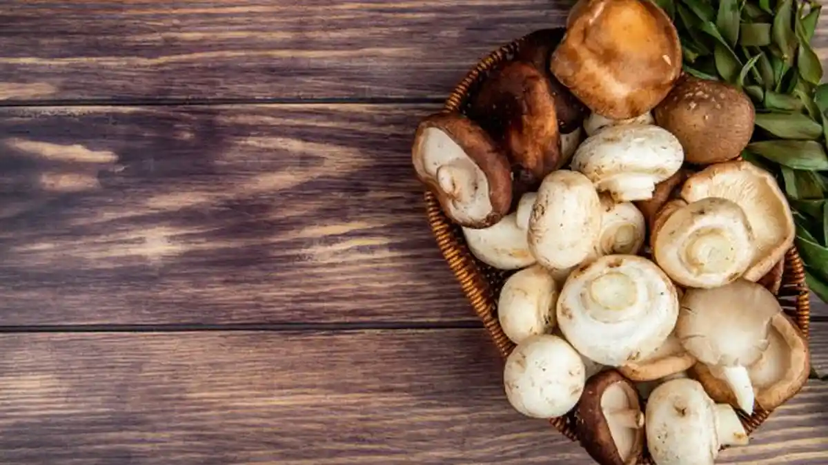 Jamur Obat Alami Mencegah Diabetes hingga Kanker, Ini 10 Khasiatnya!