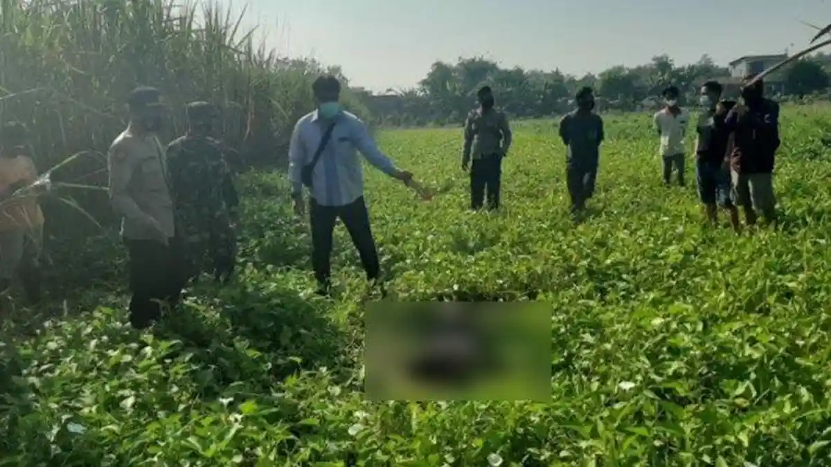 Warga Mojokerto Ditemukan Tewas di Kebun Kangkung, Leher dan Dadanya Menghitam 