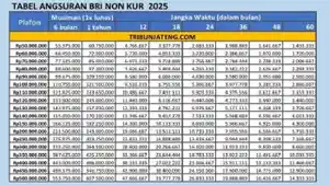 Info-Cicilan-Terendah-Pinjam-Rp-50-Juta-Rp-100-Juta-NON-KUR-BRI-2025-di-BRI.jpg