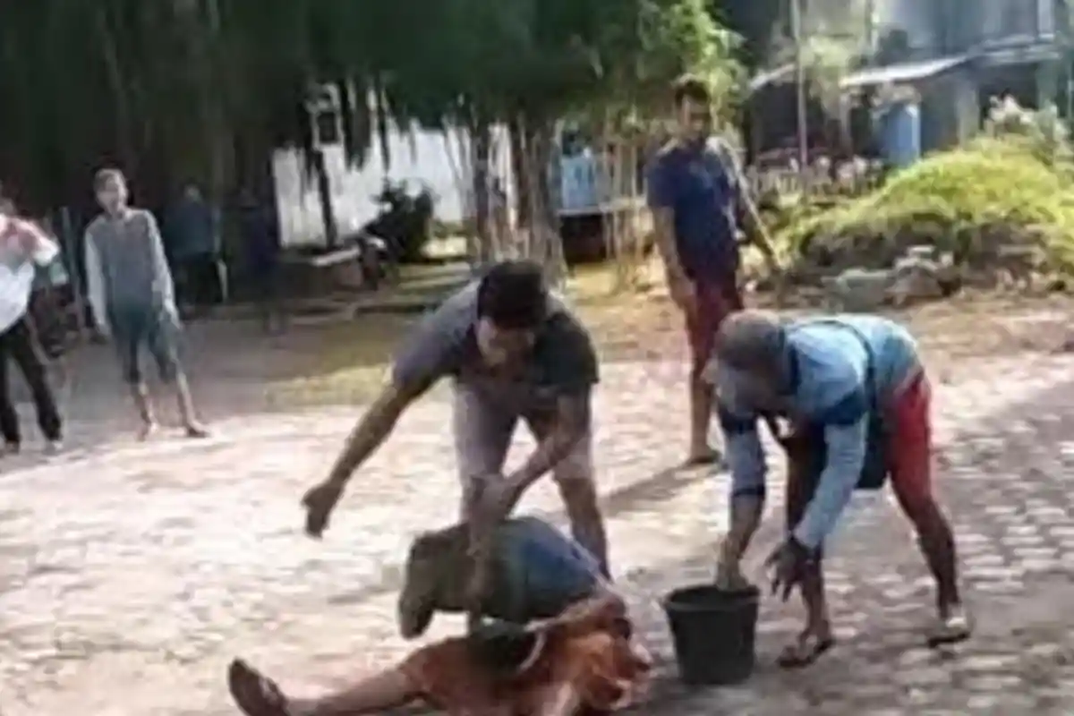 VIRAL, Seorang Pria di Gresik Dipersekusi, Wajahnya Dilumuri Kotoran Sapi, Ternyata Pelaku Ini