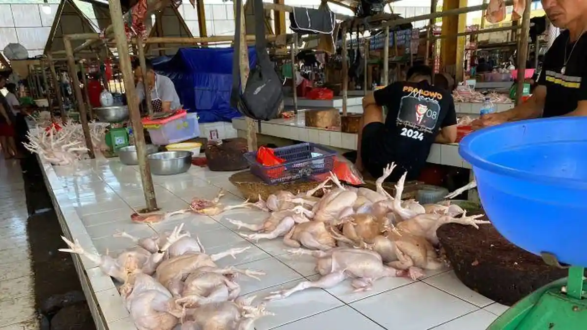 Update Harga Daging Ayam dan Ikan Laut di Pasar Pinasungkulan Manado