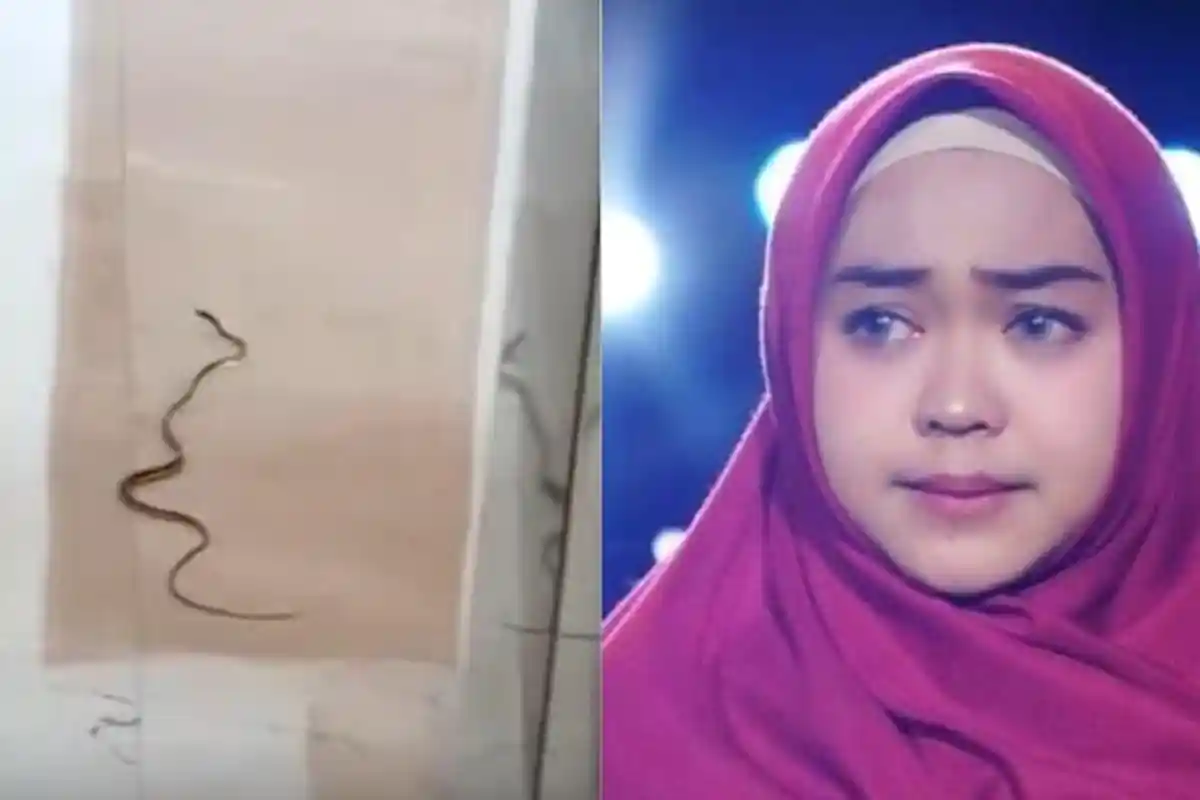 GEGER Ria Ricis Temukan Ular Misterius di Rumah Mewahnya, Istri Teuku Ryan Curiga: Jelmaan Jin?