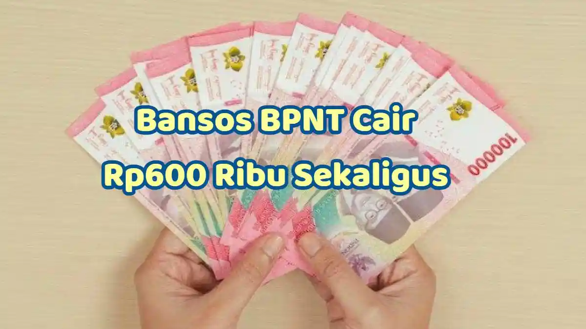 Bansos Reguler 2024 Cair, PKH & BPNT Ada Batas Akhir Pencairan Pastikan ...