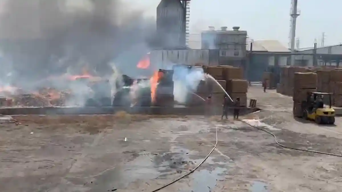 BREAKING NEWS Kebakaran Hebat di PT Nankai Indonesia Gresik, Dua Orang Luka Bakar