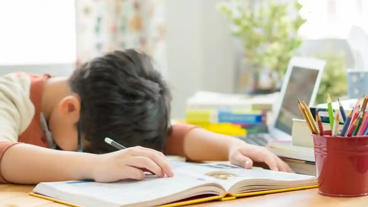 3 Tips Belajar Efektif Bagi Pelajar, Bisa Lawan Rasa Bosan dan Lebih Kreatif