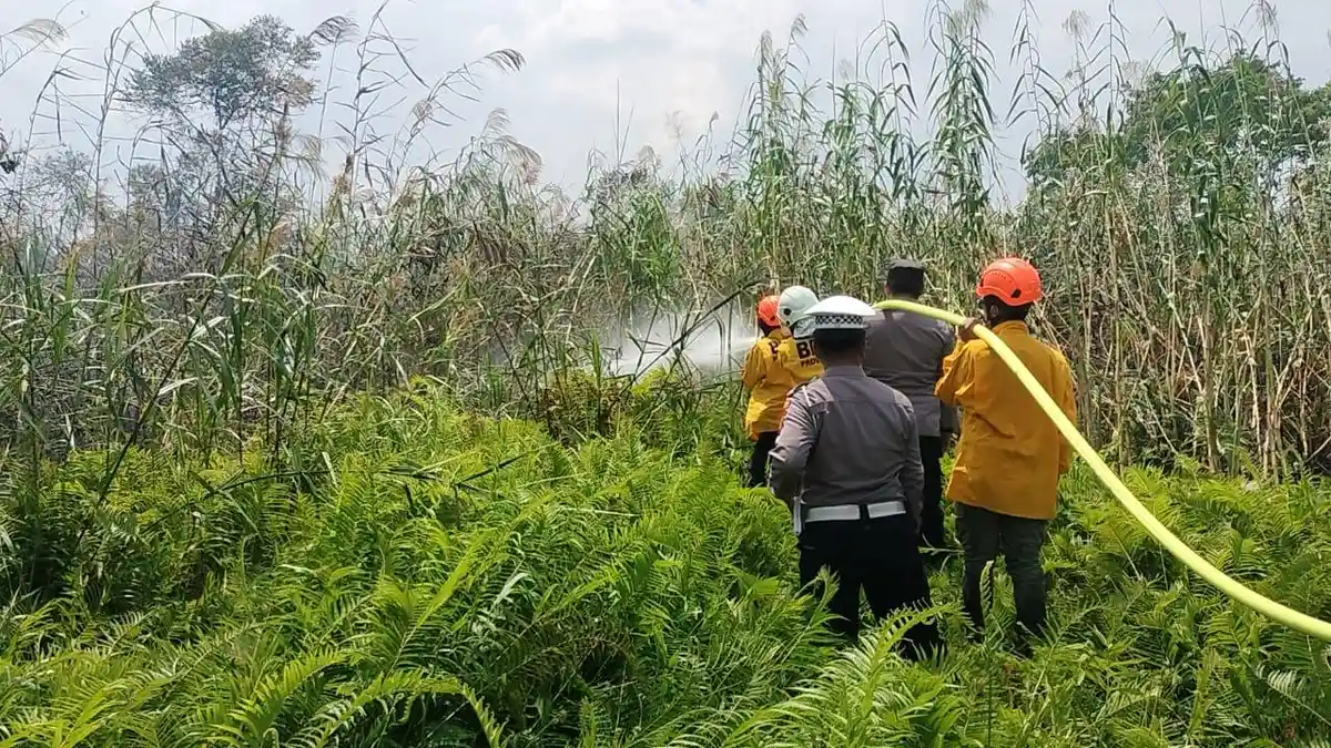 1,5 Hektare Lahan di Samarinda Terbakar, BPBD Kaltim Turun Tangan