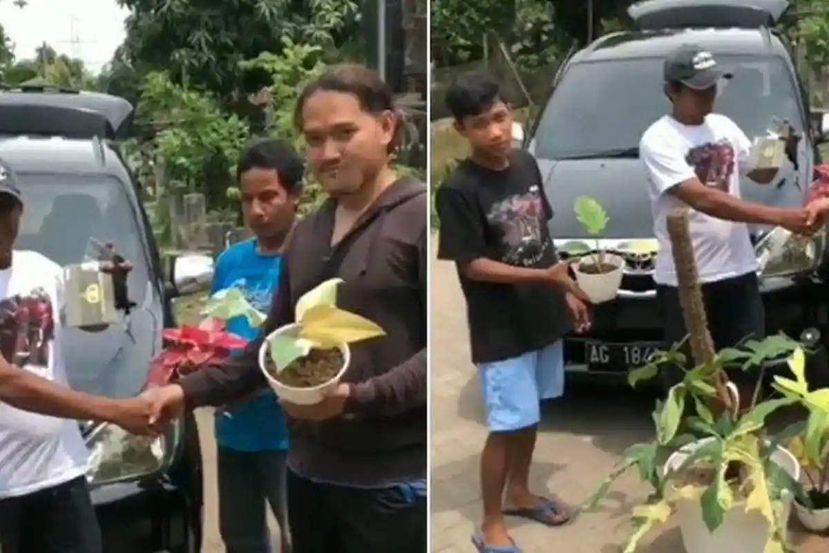 Viral Video Pria Tukar Mobil Avanza dengan Tanaman Hias