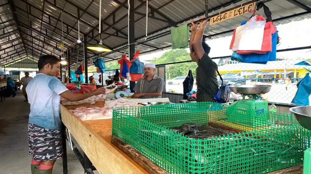 Harga Ayam Potong di Tanjungpinang Berangsur Turun, Kini Rp 36 Per Kilogram