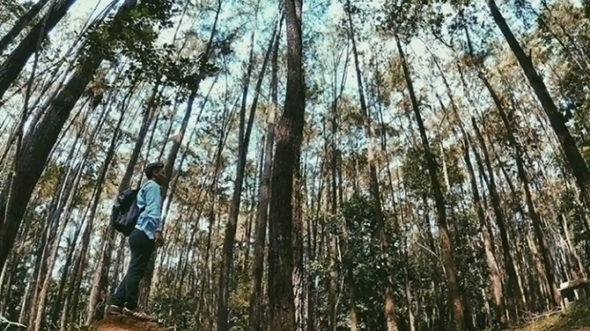 3 Destinasi Wisata Jambi yang Menawarkan Pemandangan Alam
