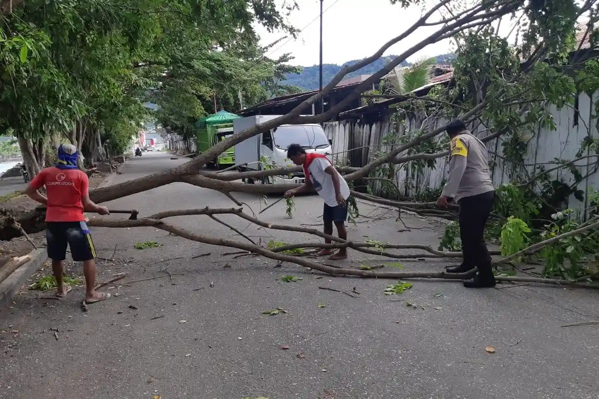 Polisi dan Warga Bersihkan Pohon Tumbang di Jalan Samratulangi Luwuk Banggai