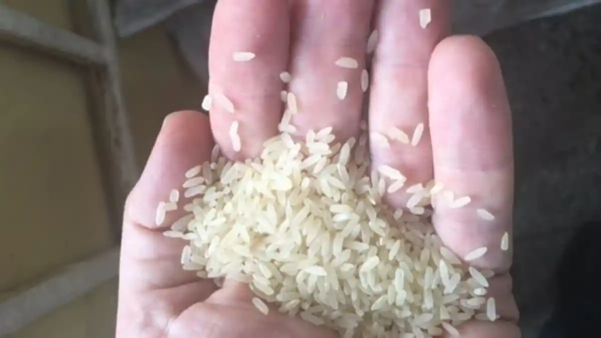 Nigeria Sangkal Merebaknya Beras Plastik di Pasar