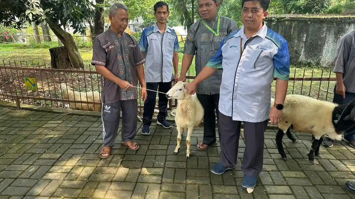 Jasa Tirta II Operator Bendungan Jatiluhur Salurkan Puluhan Hewan Kurban Lewat Program TJSL