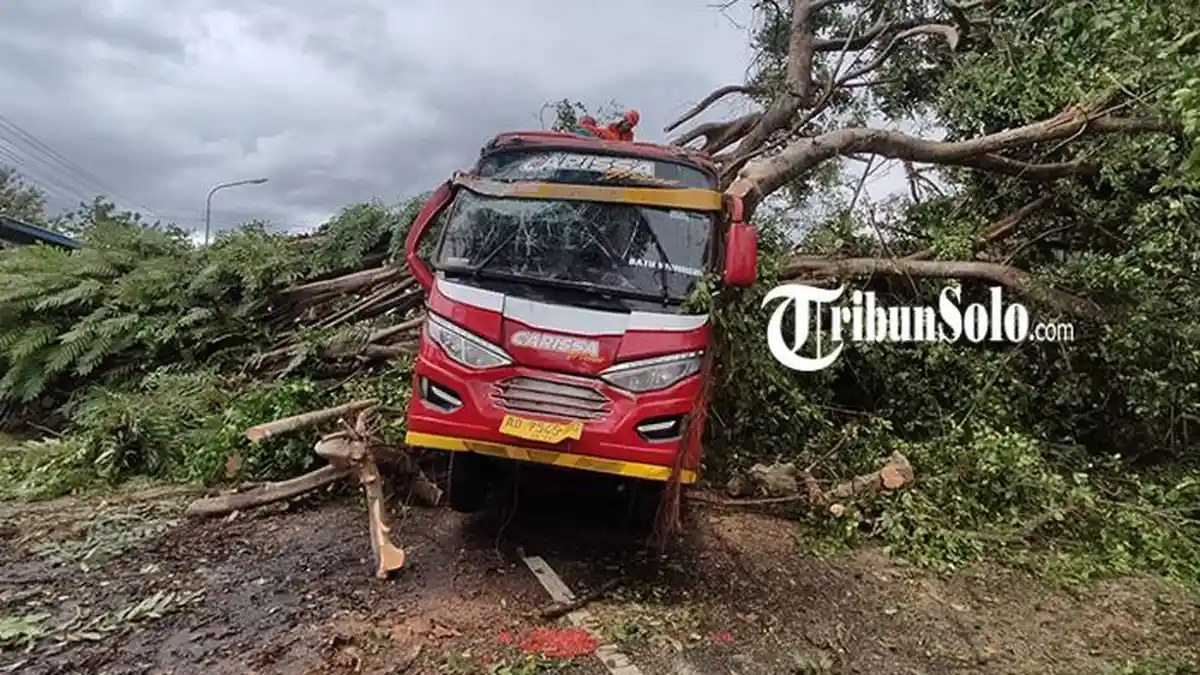 Pohon Tumbang Menimpa Minibus di Jalan Wonogiri-Ponorogo, Dua Orang Terluka 