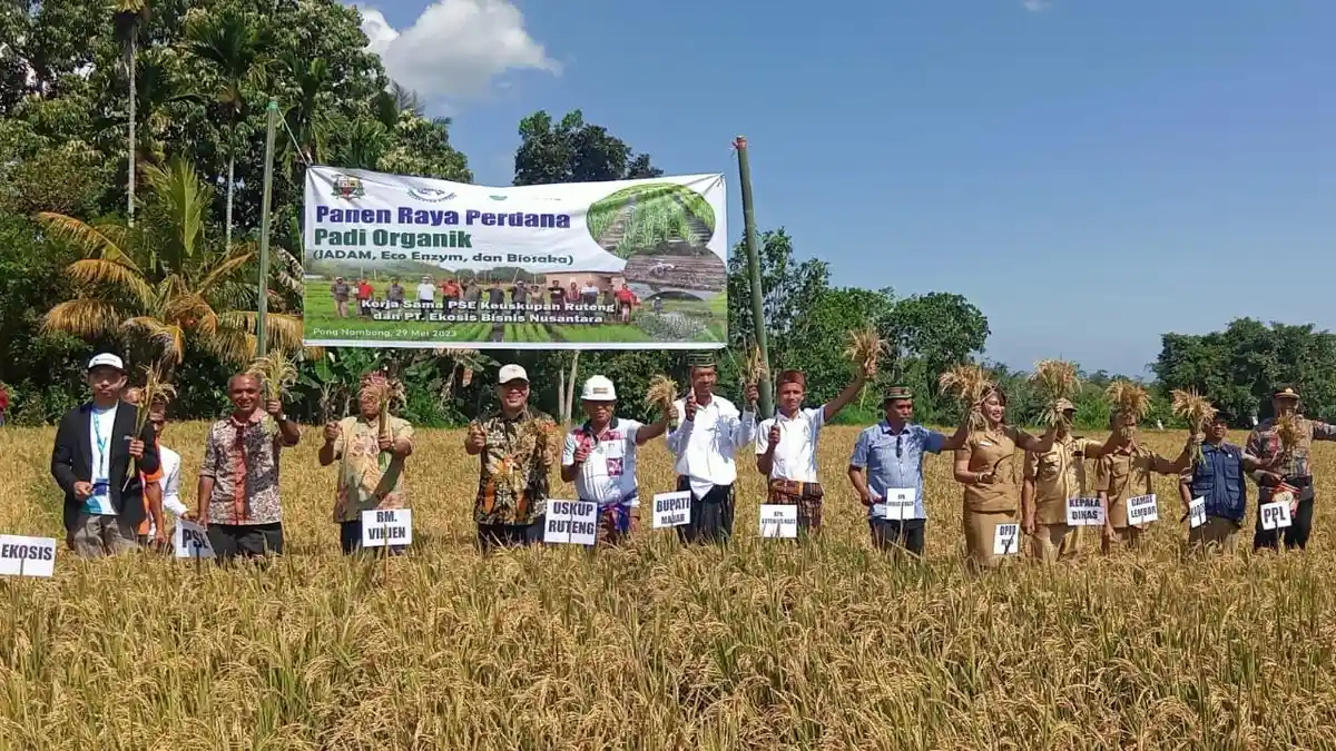 Dukung Kebutuhan Pariwisata Labuan Bajo, Kualitas Beras Lembor Ditingkatkan