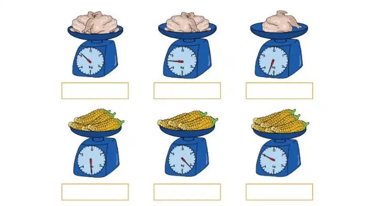 Kunci Jawaban Tema 3 Kelas 3 SD Halaman 103 107, Membaca Berat Benda pada Timbangan