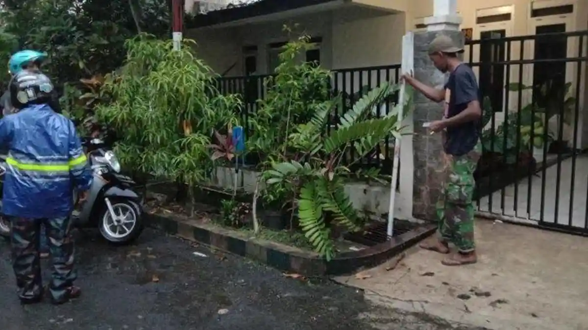 5 Fakta Hewan Misterius Mirip Buaya Panjang 3 Meter yang Gegerkan Warga Malang