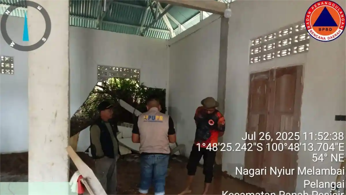 Akibat Curah Hujan Tinggi, Pesisir Selatan Dilanda Longsor, Banjir, Jalan Terban dan Pohon Tumbang