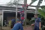 Damkartan-Kota-Jambi-Evakuasi-Kucing-Terperosok-12-Meter-ke-Dalam-Sumur.jpg