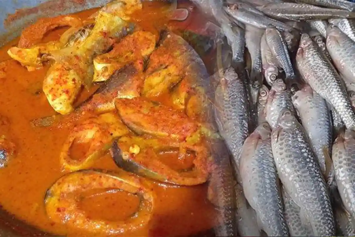 Produk Wisata Kuliner Khas Gayo di Aceh Tengah: Selain Kopi, Pengat juga Jadi Pilihan Utama