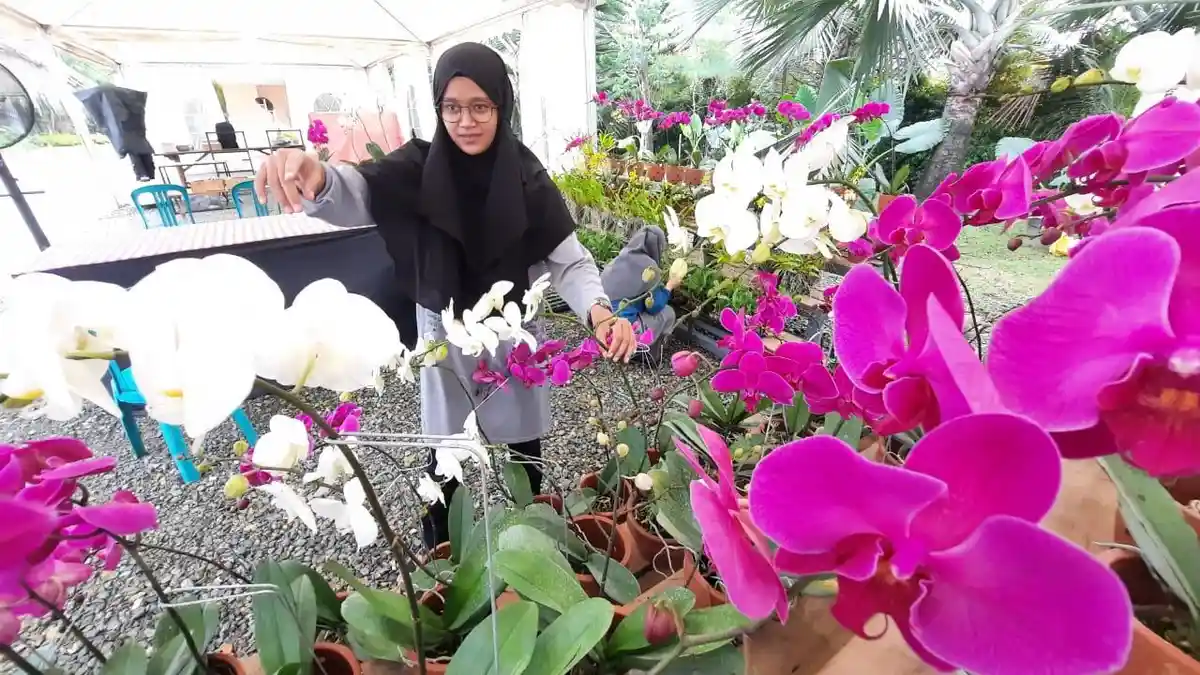Mau Ngabuburit Atau Healing SAFFANA Samarinda Bisa Jadi Tujuan