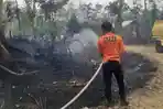 Kebakaran-Lahan-Sawit-dan-Karet-Seluas-05-Hektare-di-Tebo.jpg