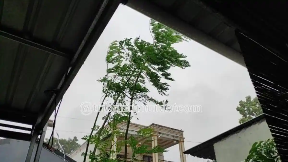 Waspada Angin Kencang Landa Makassar dan 13 Wilayah Sulsel