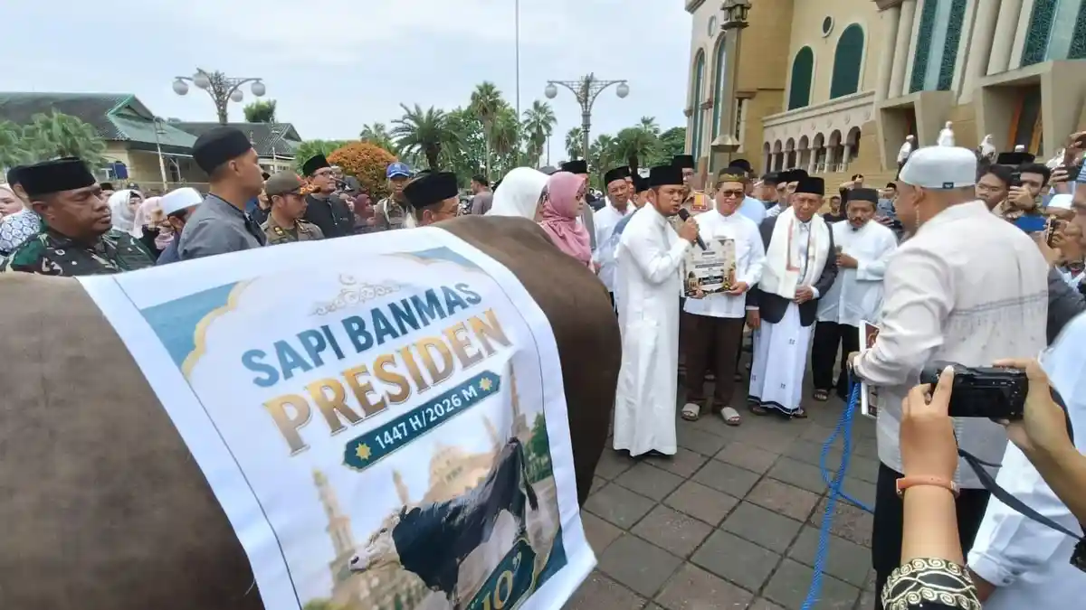 Sapi Presiden 1,07 Ton Bernama Bejo Jadi Primadona Idul Adha di Islamic Center Samarinda