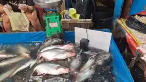Pedagang-Ikan-Mujair.jpg