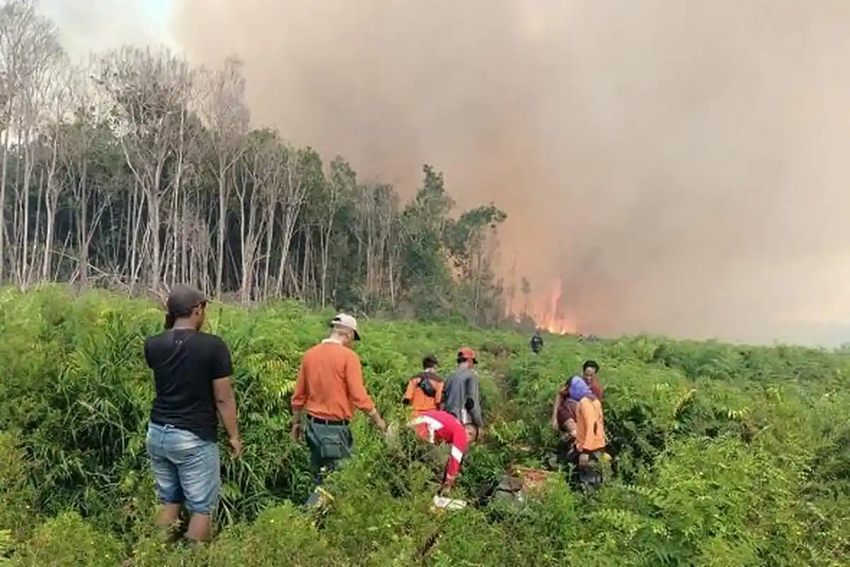 Kebakaran Lahan di Pesisir Selatan Sudah 2 Hari, Diperkirakan Semakin Meluas