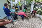 Gampong Meunasah Mesjid, Lhokseumawe Sembelih 80 Hewan Kurban