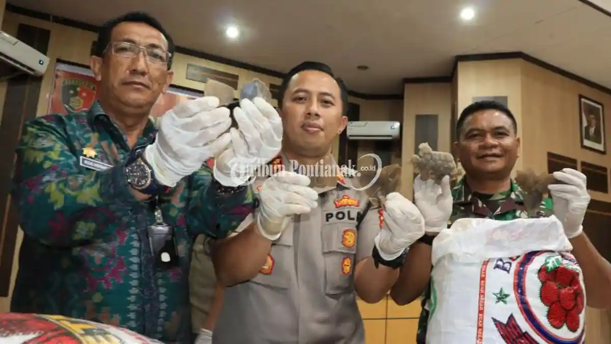 FOTO: Pengungkapan Kasus Perdagangan Gelap Sisik Trenggiling - perdagangan-sisik-trenggiling-4.jpg