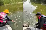 Geger Ikan Sapu-sapu Mati Massal di Kali Bekasi, DLH Temukan Bukti Pembuangan Limbah