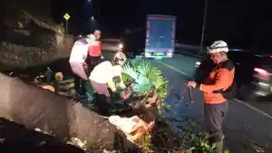 Petugas-BPBD-mengevakuasi-pohon-tumbang-di-Cadas-Pangeran-Sumedang.jpg