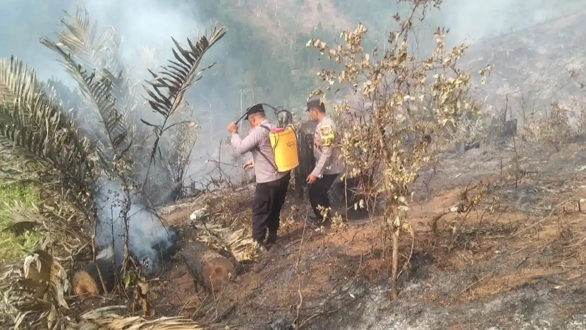 Pastikan tak Tersisa Bara Api, Pemadaman Kebakaran di Hutan Karangpucung Cilacap Masih Berlangsung