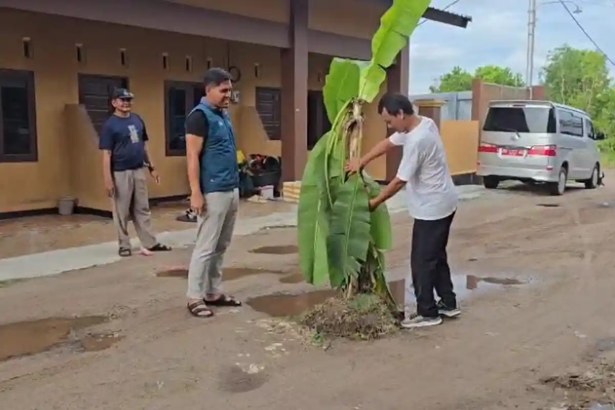 Aksi Tanam Pohon Pisang di Jalan Rusak, Warga Perintis Permai Direspon Cepat Pemko Palangka Raya
