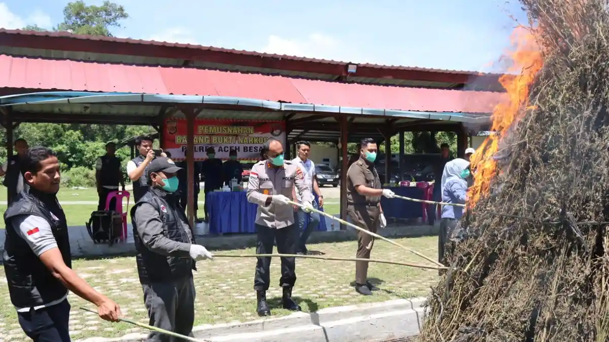 Polres Aceh Besar Musnahkan Barang Bukti Sabu dan Ganja