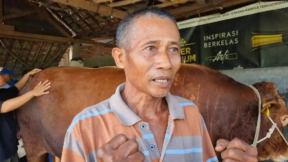 Ungkapan Haru Warga Gresik Sapinya Berbobot 1,84 Ton Dibeli Presiden Prabowo untuk Kurban
