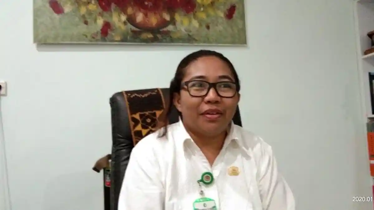 Kemenkes Tetapkan   RSUD TC   Hillers Maumere Rujukan  Isolasi  Virus Corona