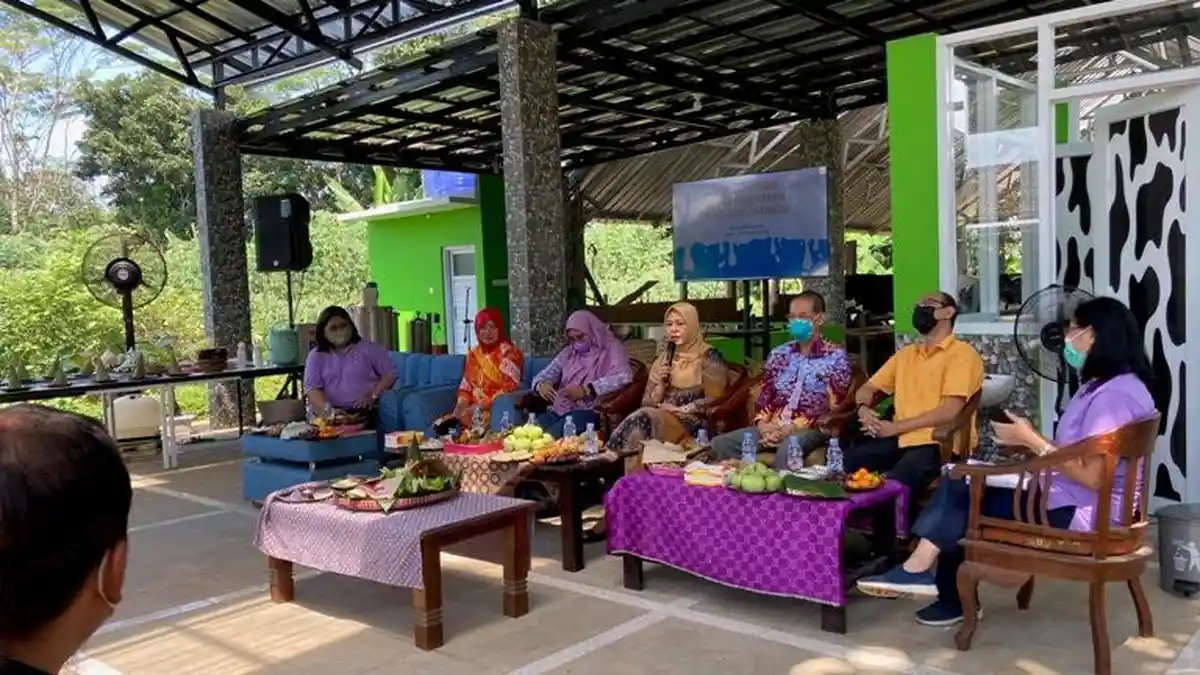 Libur Sekolah, Yuk Perah Susu Sapi Langsung di Wisata Edukasi di Gunungpati Kota Semarang